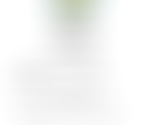 Sunday 3rd November Ladies 18 & 9 Holes S/F