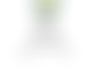 Monday 21st August Ladies Senior Open 18 Holes S/F