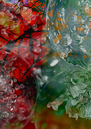 IMG_7187.png