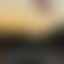 Organismos Constitucionales Autónomos.