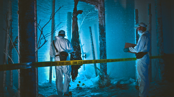 LET THE RIGHT ONE IN - Melbourne