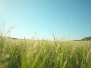 Navigating Environmental Management System Reviews