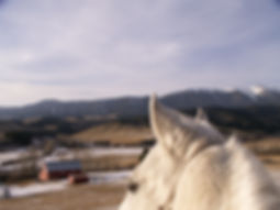 brought from MT 065.jpg