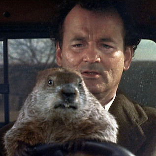 31ah-groundhogday-movies-superJumbo.jpg