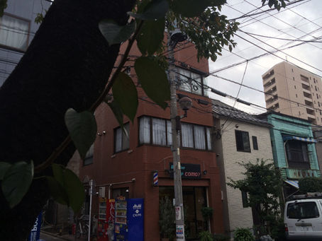桜散る|619