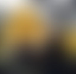 הדרך אל הבונסאי- הנחיות לגידול, אחזקה ועיצוב של עץ בונסאי