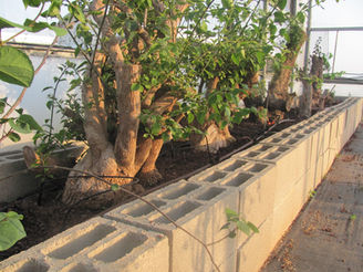 ספטמבר - הפוסט הראשון שלי בבלוג