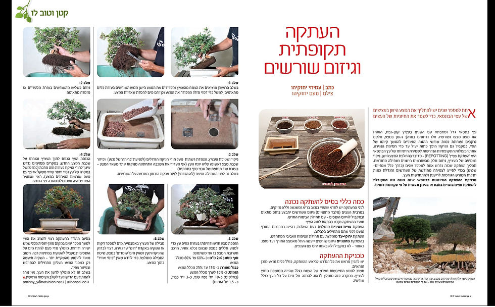 2 העתקות פירסום