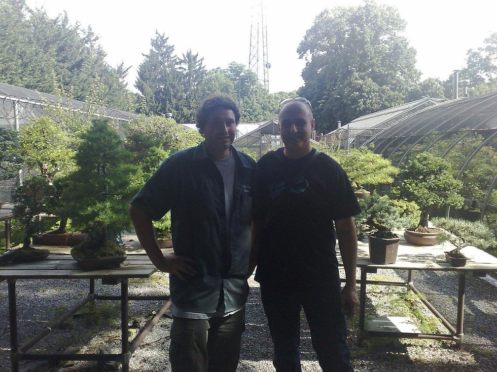 at bbg n.y. usa bonsai trip.jpg