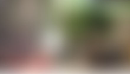 על בונסאי, פחם וקצת היסטוריה מקומית