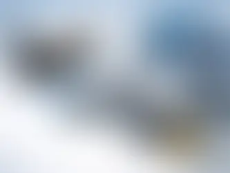 Was kostet DPF Reinigung wirklich?