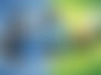 Partikelfilter reinigen statt wechseln?