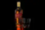Botella de Etiqueta Roja