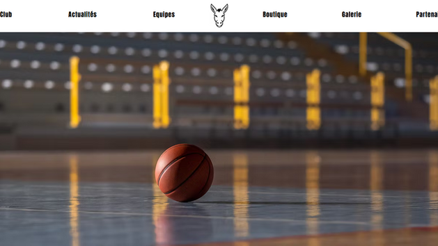 Lancement du site officiel