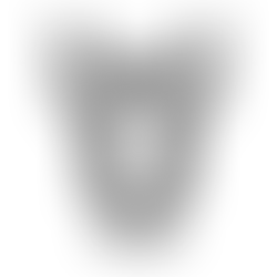 Fondation