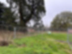 Tree Protection Fencing