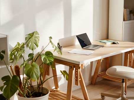 serene office with light coming in through the window