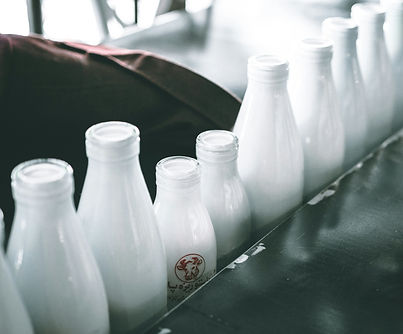 Milch.jpg
