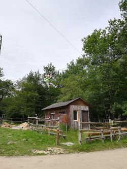 34365426_2152469734767374_474388423562493952_n