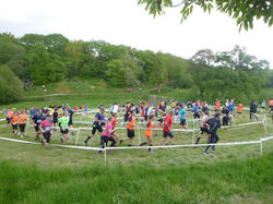 31564050_10212022314899009_2238020317354131456_n