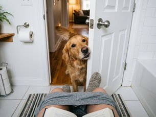 Sa visite quand tu étais aux toilettes te manque ? Le deuil animal se cache aussi dans les petits détails
