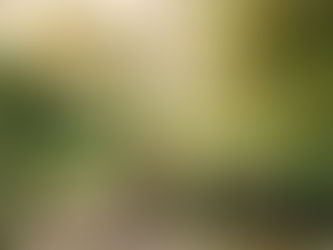 Perdre son animal de compagnie, comment y faire face