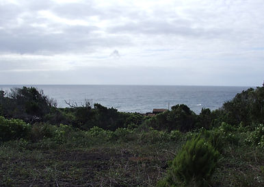 Pico - 2008 721_edited.jpg