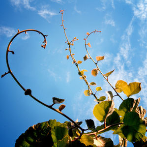 Thought for the week - 28 April 2024