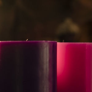 Thought for the week - 28 November