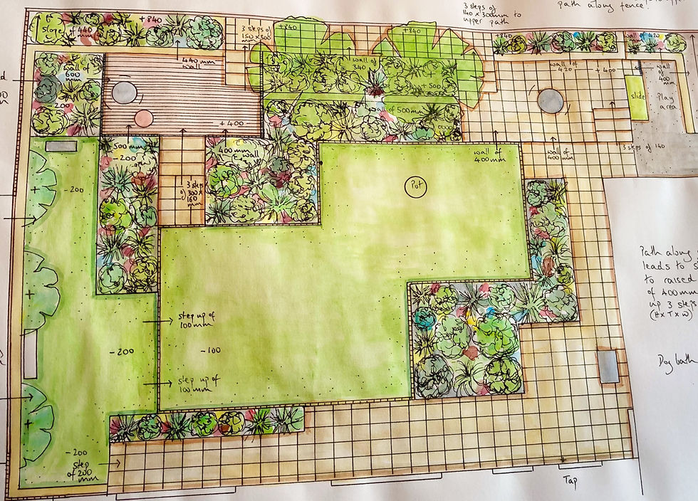Dog friendly town garden