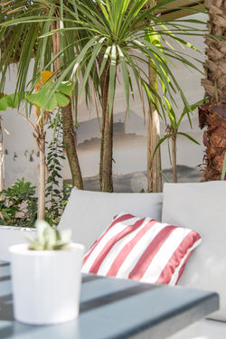 Beach House 2