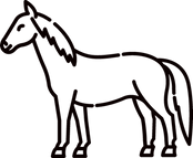 horse vector_edited_edited_edited.png