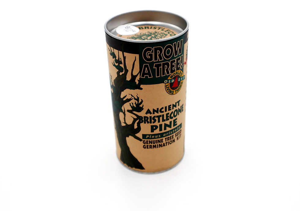 Thumbnail: Tree Growing Kit.