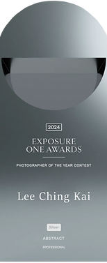 Trophy (Silver) copy.png