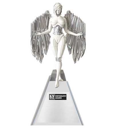 silver (2).png