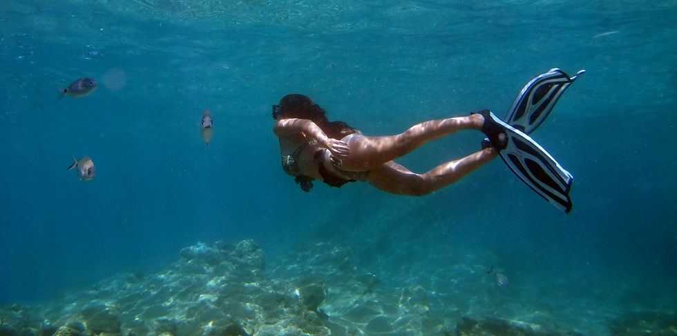 Snrokeling - lombok - gilli - island - underwater - marina life - honeymoon - Bali (1).jp