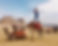 Kara Camel.jpeg