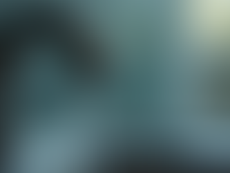 Signs You Need Professional Plumbing Services