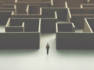 Navigating the Vendor Selection and Management Maze in the IT World