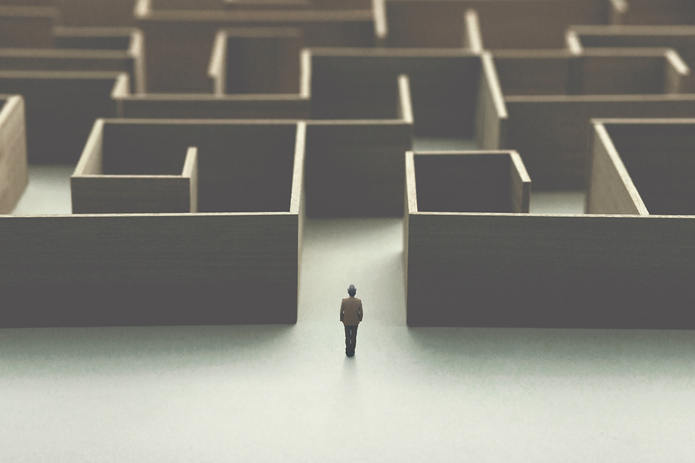 Navigating the Vendor Selection and Management Maze in the IT World