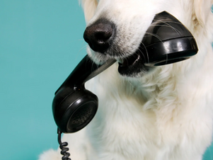 5 Signs Your Telecom Management is Chaotic (and How to Fix It)