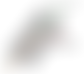 What is the quadrupole in a mass spectrometer?