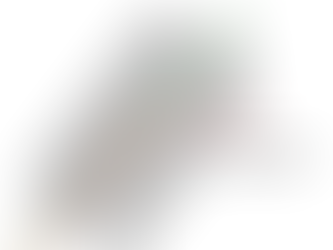 What is the quadrupole in a mass spectrometer?