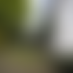 Urodziny na Ursynowie 