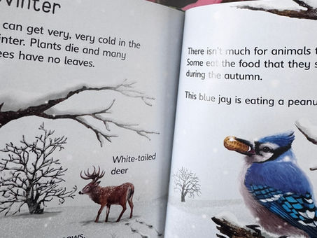 Półkolonie blisko Lasu Kabackiego – dlaczego to ogromna wartość dla dzieci? 