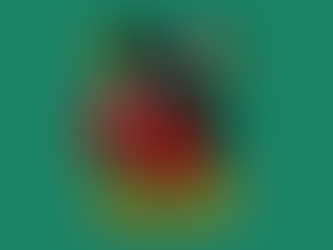 JAB, la mascotte de BT15 ! 