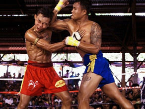 Coudes en Boxe Thaï ! 