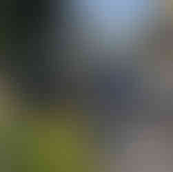 フェンス下地工事