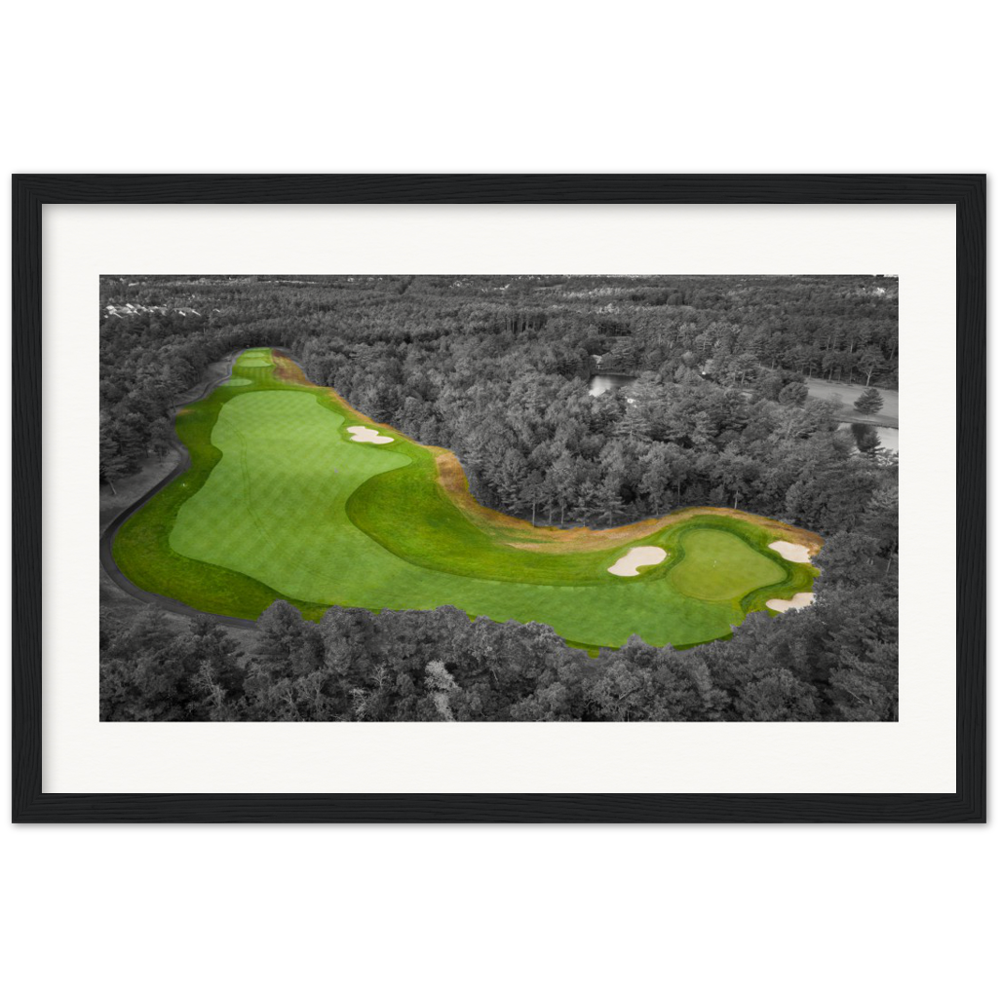 Nicklaus #4 Framed Print