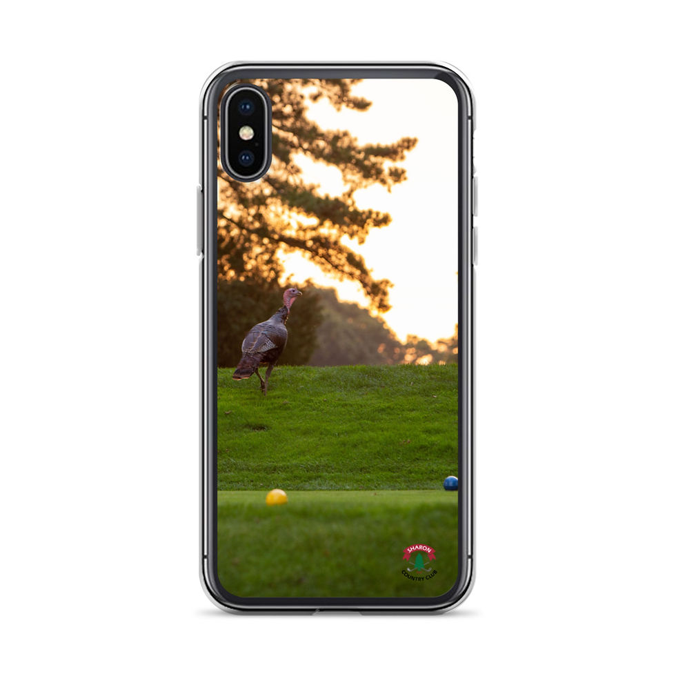 Thumbnail: Turkeys - Sharon Country Club iPhone Case